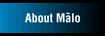 About M&atilde;lo, Inc.