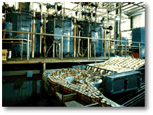 Crateless Retort System